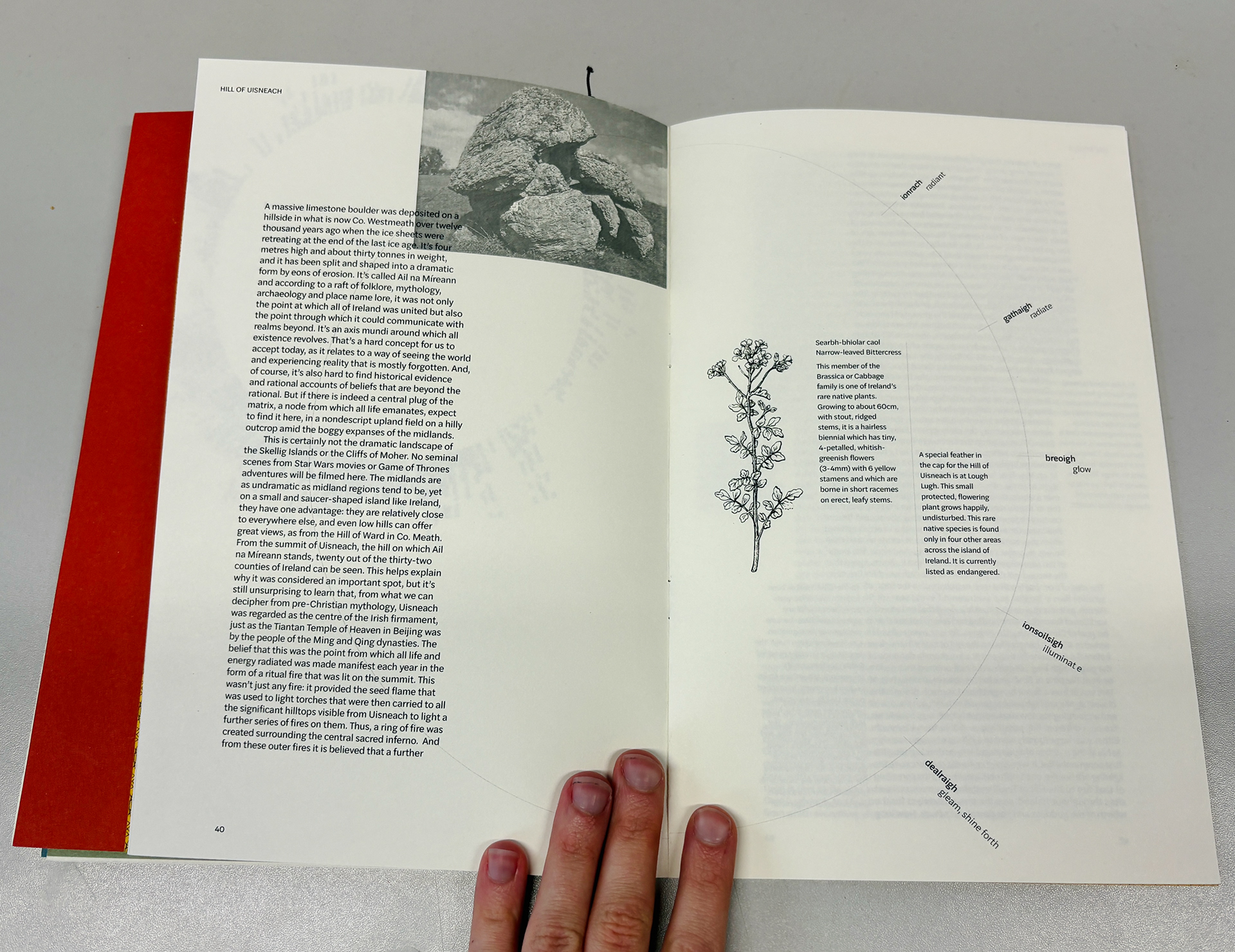 Duantas — image 3