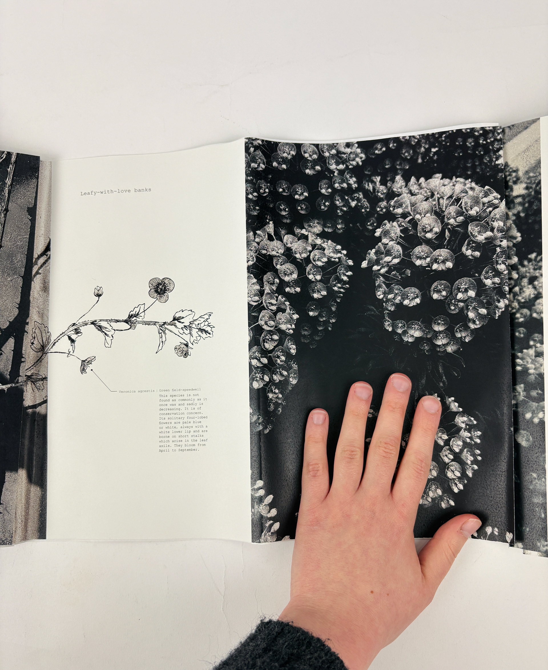 Where We Belong — image 4