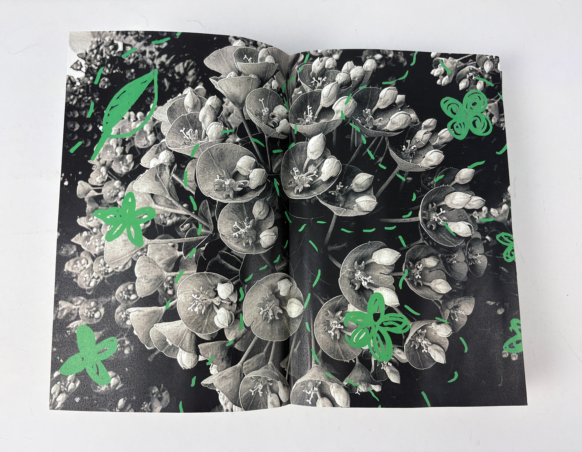 Where We Belong — image 7